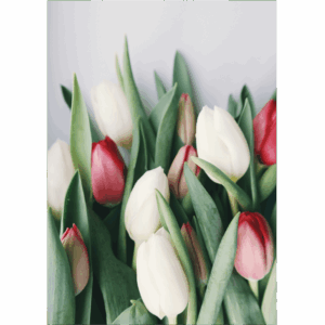A5 Borító - Tulipán csokor