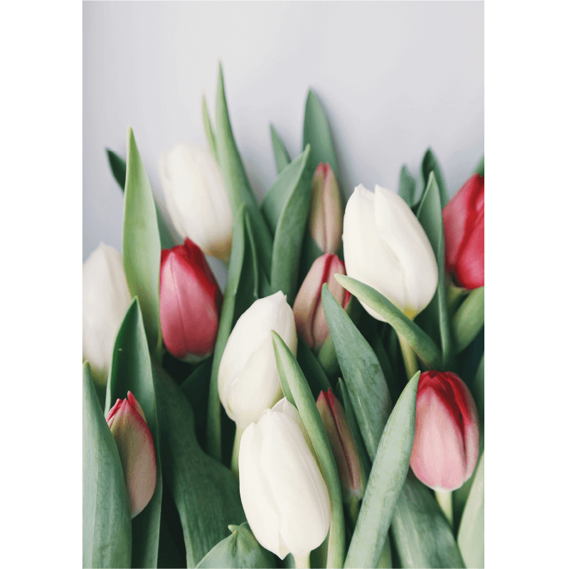 A5 Borító - Tulipán csokor 1 a5 korongos fuzet fedlap eleje tulipan csokor 1