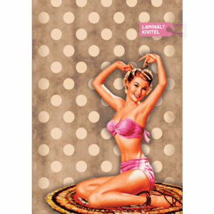 a5 korongos füzet laminált borító pin up girl előlap