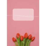 A5 Borító – Tulipán