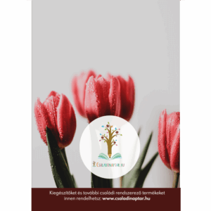 a5 korongos füzet laminált borító tulipán malom hátlap