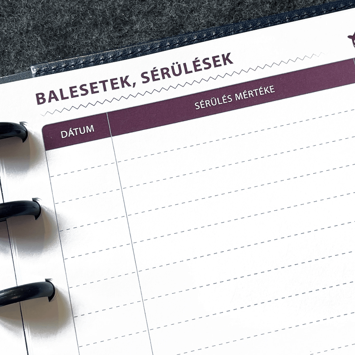 Szerviznapló - autóhoz, motorhoz 7 szerviz fuzet balesetek